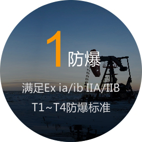 滿足EX ia\ib IIAIIB T1~T4防爆標準